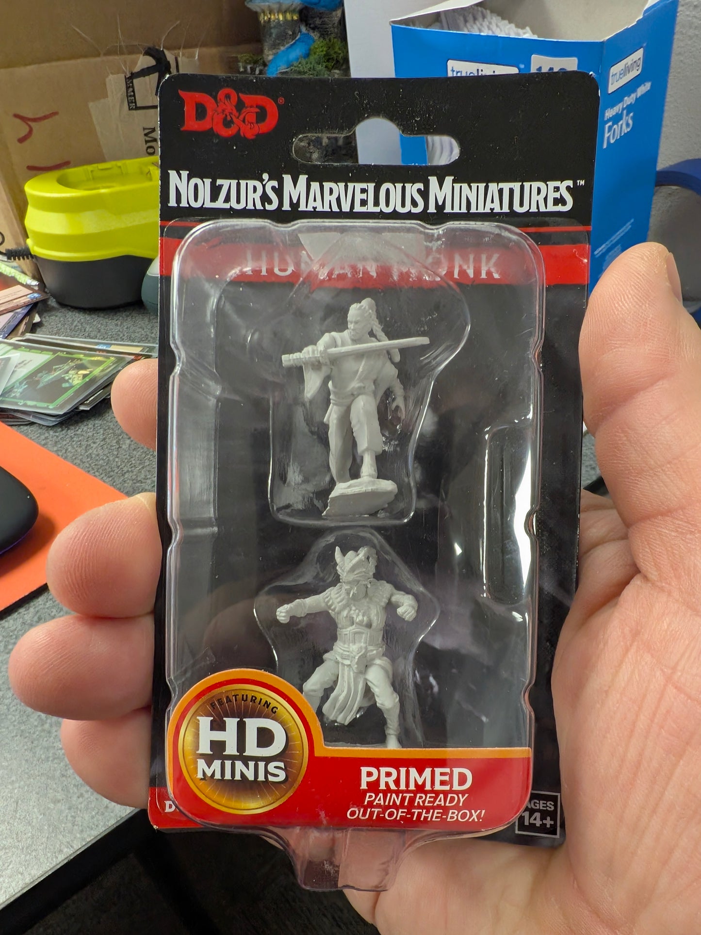 D&D: Human Monk Male ****