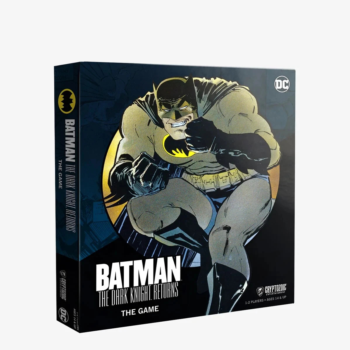 Batman the Dark Knight Returns the Game *