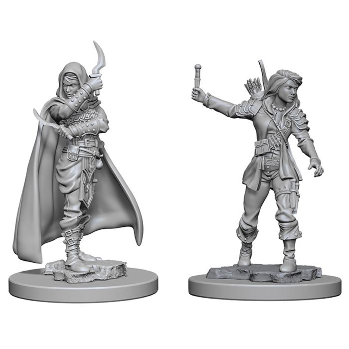 Pathfinder Deep Cuts Unpainted Miniatures: W01 Human Female Rogue