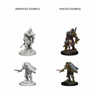 Dungeons & Dragons Nolzur`s Marvelous Unpainted Miniatures: W3 Human Male Paladin