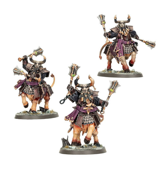 Warhammer Age of Sigmar Bull Centaurs/Annointed Sentinels WarHammer Age of Sigmar ****