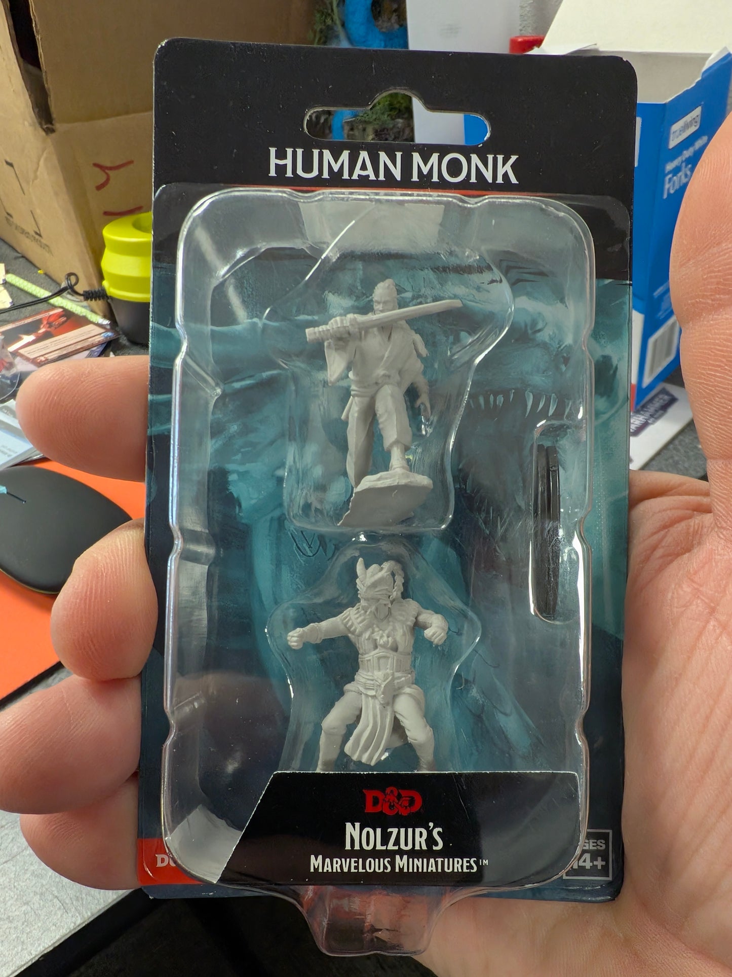 D&D: Human Monk Male ****