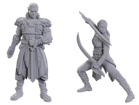 DND UNPAINTED MINIS SPECIAL EDITION BALDUR`S GATE 3 - JAHEIRA & HALSIN