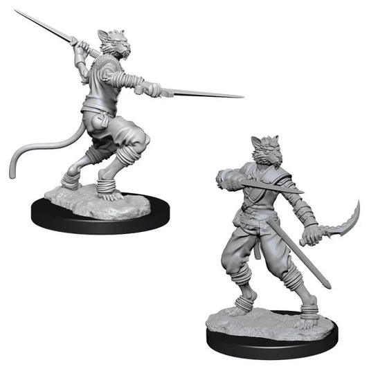 Dungeons & Dragons: Nolzur's Marvelous Unpainted Miniatures - W07 Tabaxi Male Rogue