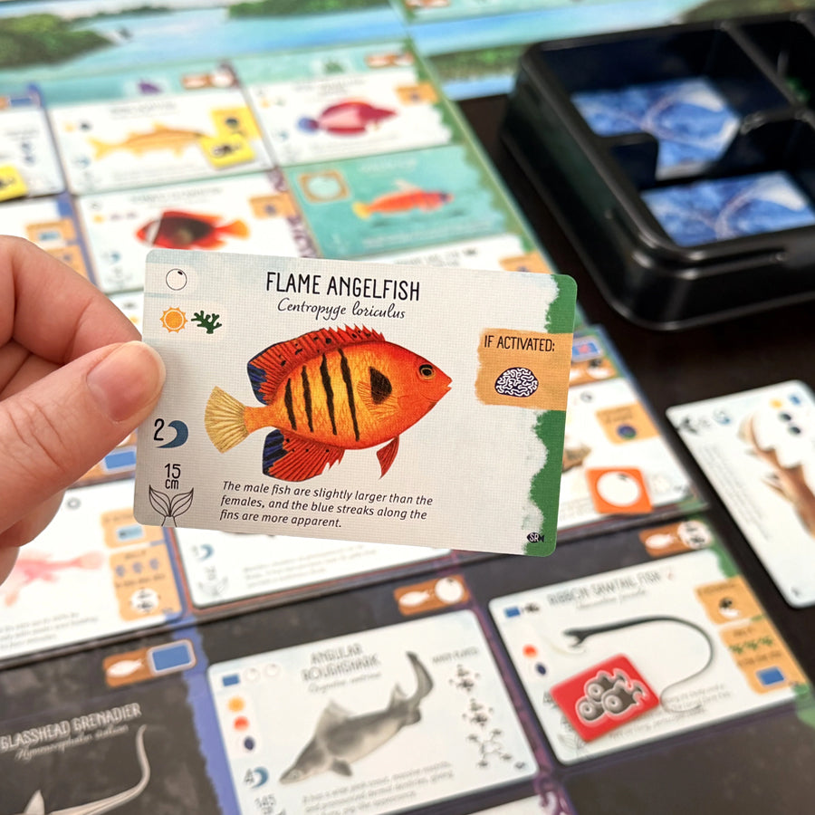 FINSPAN: SHARKS AND REEF EXPANSION