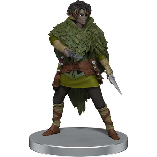 DUNGEONS AND DRAGONS: ICONS OF THE REALMS MINIATURES: DRAGONLANCE: WARRIOR MINIATURE SET