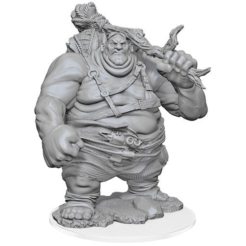 D&D Nolzur's Marvelous Unpainted Minis: W17 Hill Giant